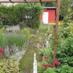 Garten_53_1